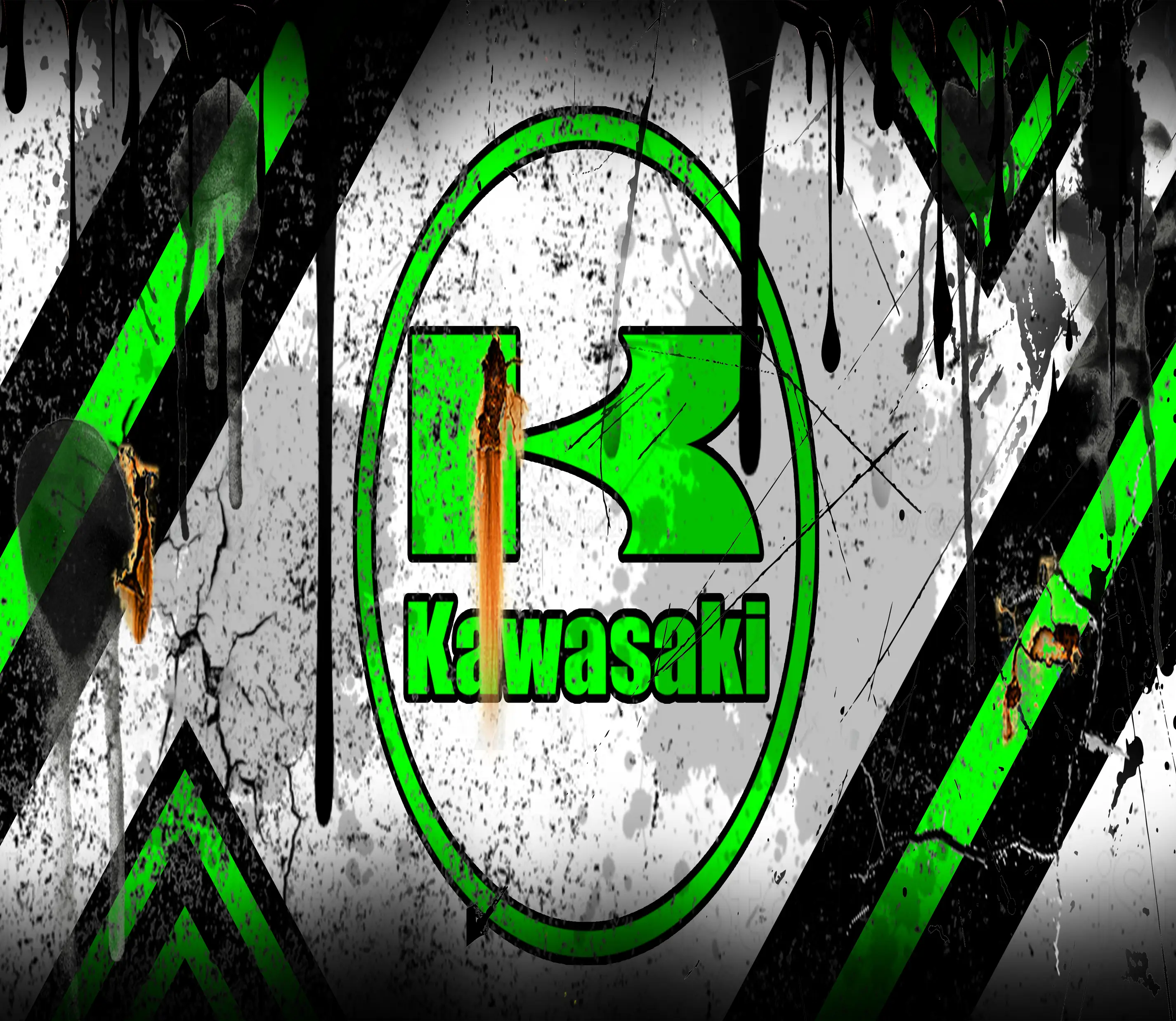 KAWASAKI2